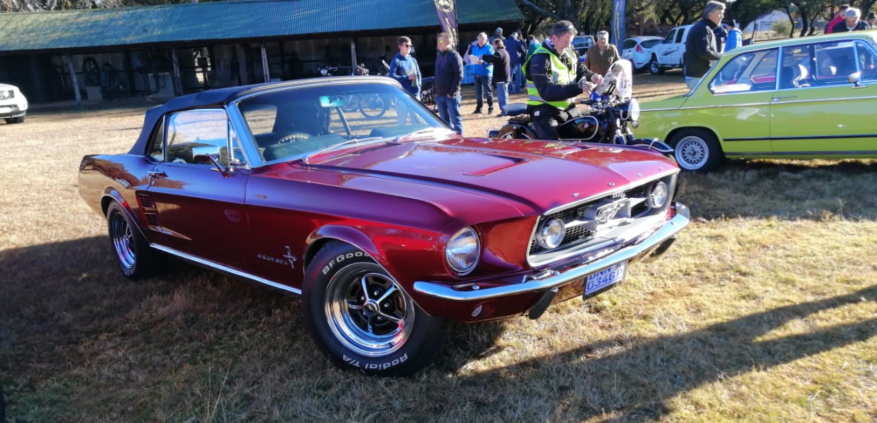IMG-20241210-WA0061